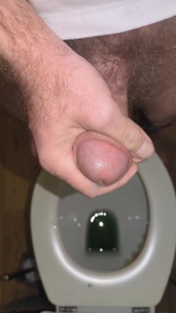 To Cum in the Toilet