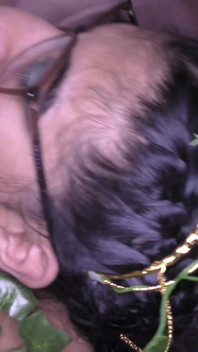Die echte gangbang-party vol. 5 # 3
