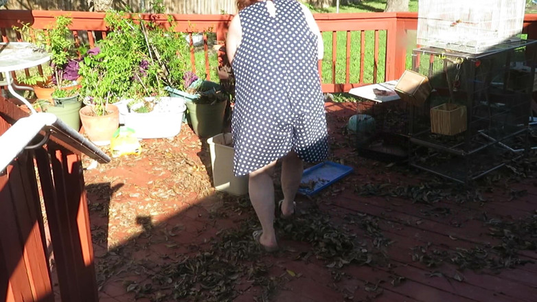 BBW nurse Vicki adventures with friends: Brincando no meu jardim mostrando minha bunda, pernas e buceta...