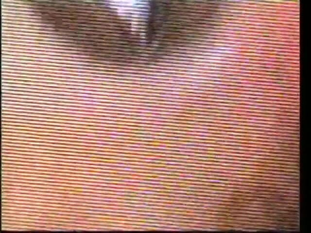 CBD Media Interracial: All natural big ass model gets her African pussy fucked