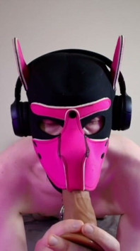This Could Be Your Cock in Hound's Mouth