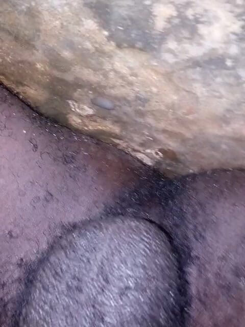 bigBlackie699: Amirimle zayıf beyaz bois sahibiyim
