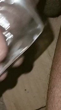 Bm 브릴리언트