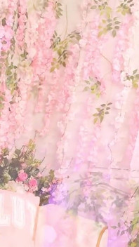 The Pink Room: Kay Kay