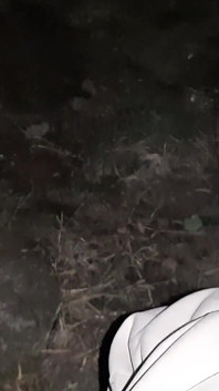 Tanıştığımız ilk gün halka açık bir parkta amımı yaladı