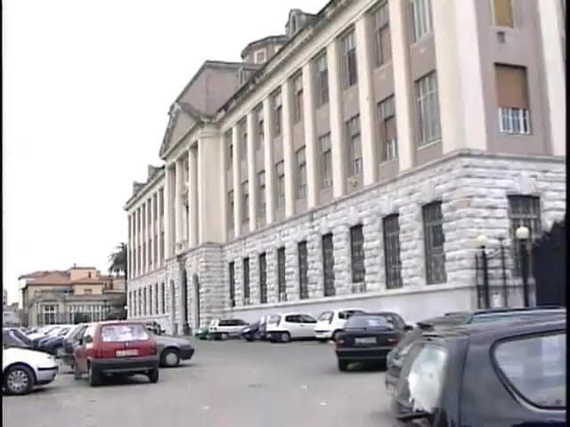 King Of Amateur: Догляд За Здоров'ям Тіла Дупс