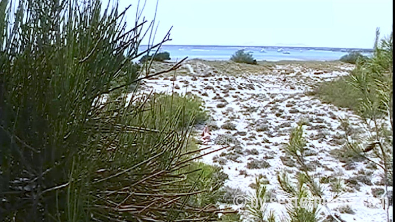 Sextermedia by Pete: MILF sexy nud pe plaja nudistă