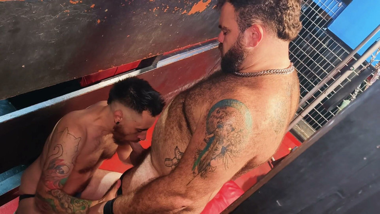 ScruffyStocky: 던전 세션: 땀에 젖은 케이지 플레이, 피어싱된 꼬임스터 재갈, 침을 뱉고, 가장자리