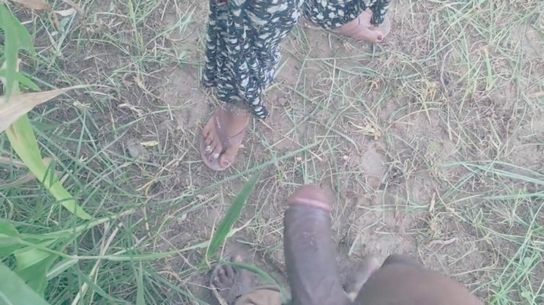 Nunu: Donne scopano nel campo della canna da zucchero con grandi...