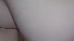 Asian Angel 23364