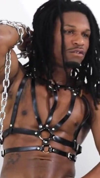 Zafar Leather Theme
