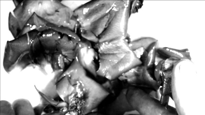 Kane Santiago: Hand Fetish - My Hands Destroying Flowers and Fruit