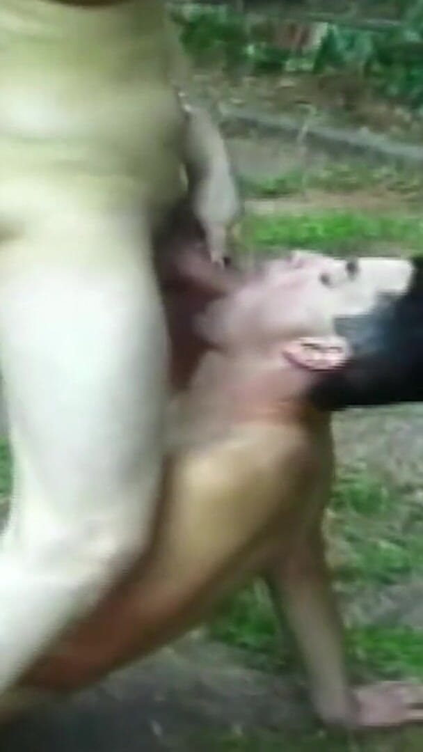 Un enorme cazzo scopa una trans all'aperto nel suo stretto buco del culo (collezione di trans trans) Huge Cock Fucks Outdoor Tranny in Tight Asshole (Shemale TS Collection)