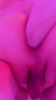 Depositing Loads of Eggs Inside My Tranny Hole