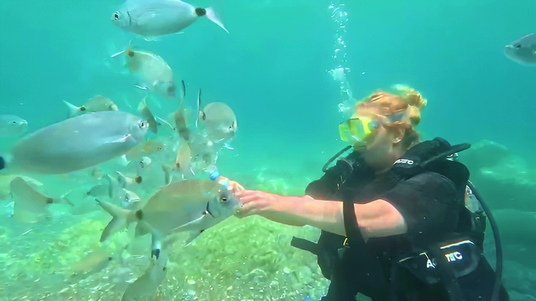 JessieHH: Mergulho em Turkiye! Livre