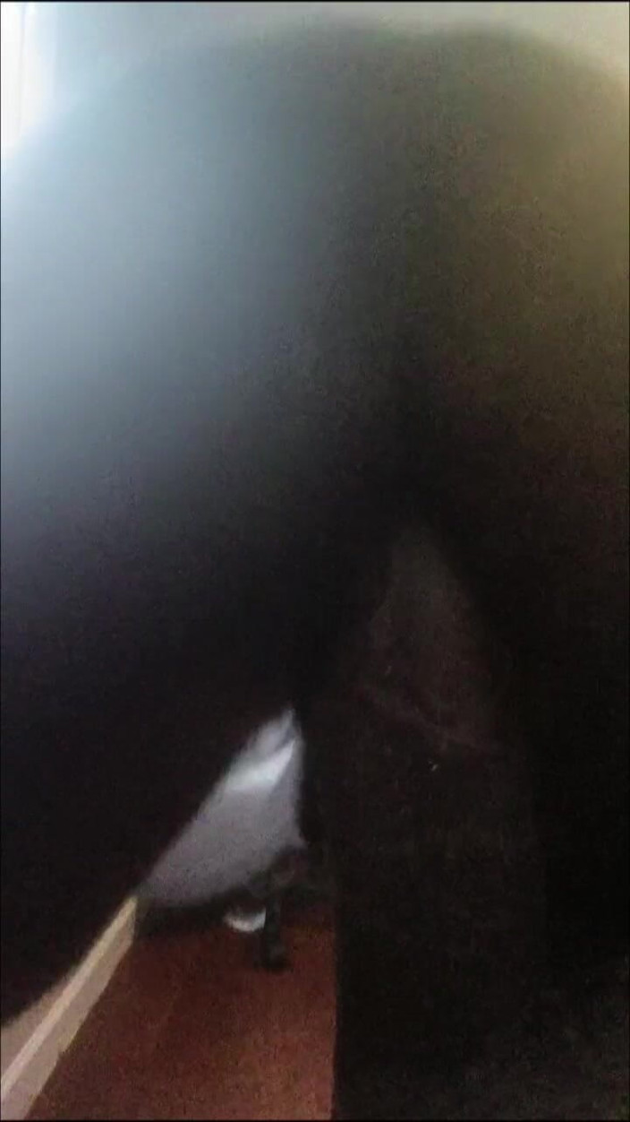 DaBlackFemboy: Lelaki Pondan ketagih besar orgasme kentut berkrim