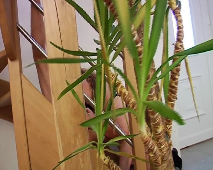 Planete Francaise: Una vecchia troia francese viene rimorchiata nel parco e scopata...