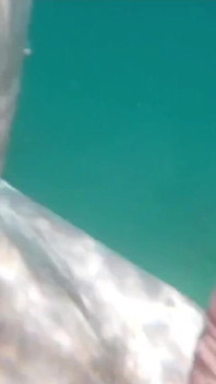 Naked in the Sea
