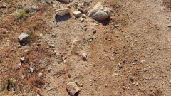 LyricsWay: Zwart koppel dat frisse lucht en pornosterren wandelt