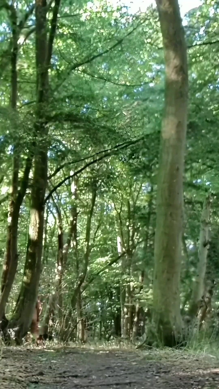 MaleModel: Fully Naked Walk in a Forest