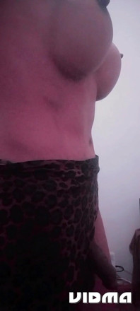 Polla Grande Lara-transexual