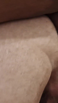 큰 엉덩이에 자지를 가진 뚱뚱한 곰 세 마리가 맨몸으로 섹스를 한다