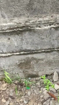 Quicky with My Crush