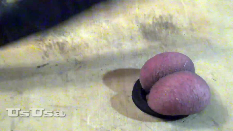 UsUsa for Men: Ballbusting with a rubber dick