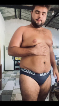 Solo Bear