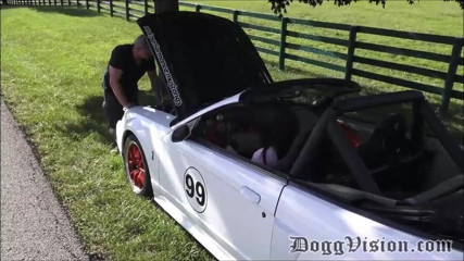 Dogg Vision TS: Raven Roxxお尻犯と顔によるbwc田舎者
