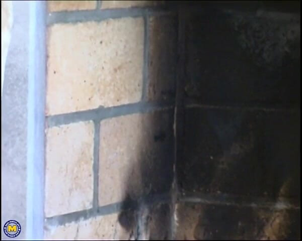 Mature NL: Ibu tiri nakal berkongkek dan menghisap teteknya