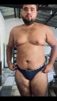 Solo Bear