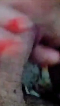 하드코어한 고집을 부리는 팬에게 핸잡을 했습니다.