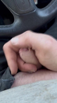Car Wank
