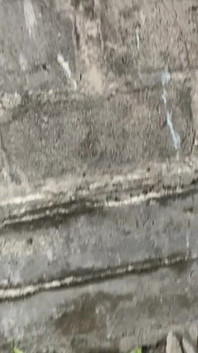 Quicky with My Crush