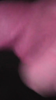 Primer plano: mejor mamada de ordeño en tu vida, descuidada chupando polla asmr