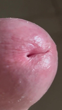Close up - one vein
