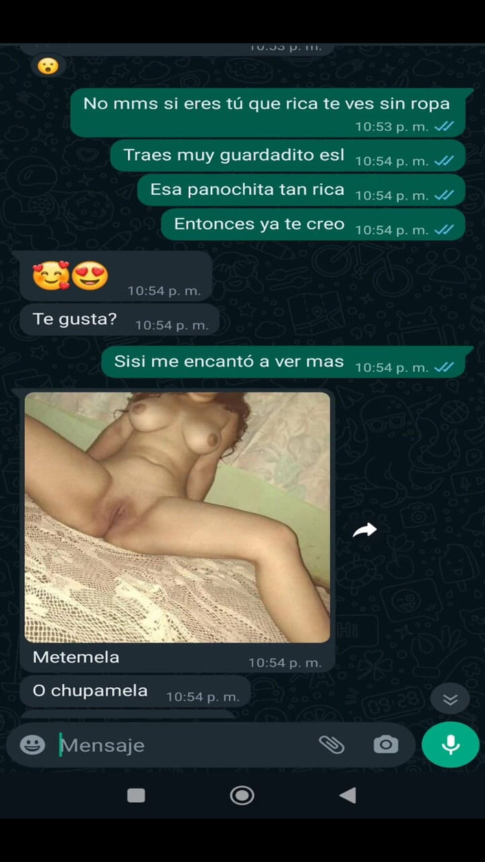 Mexicasero: Vero的婊子，我女朋友的朋友，给我发了一条信息