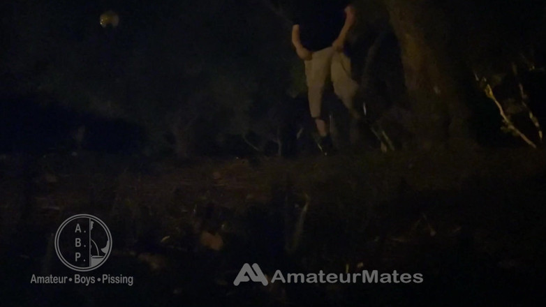 AmateurBoysPissing: Amateur Straight Boy Caught Pissing in a Park, at Night