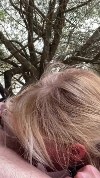 山しゃぶりコックでの遠足