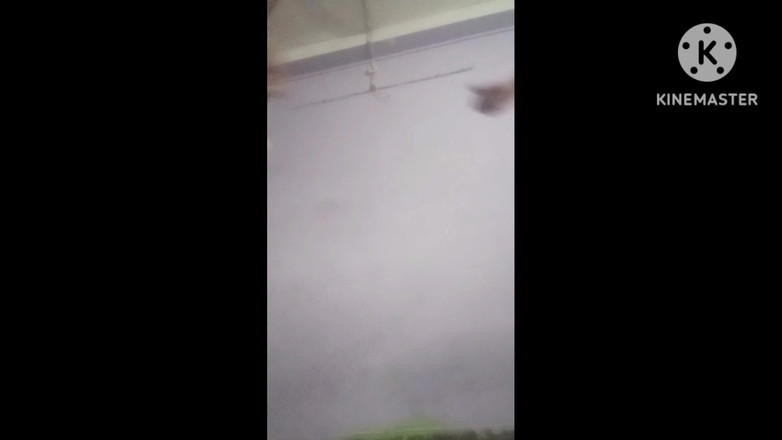 Latifah1234: Mycket sexig kropp stora bröst stor röv stor lokal sex...