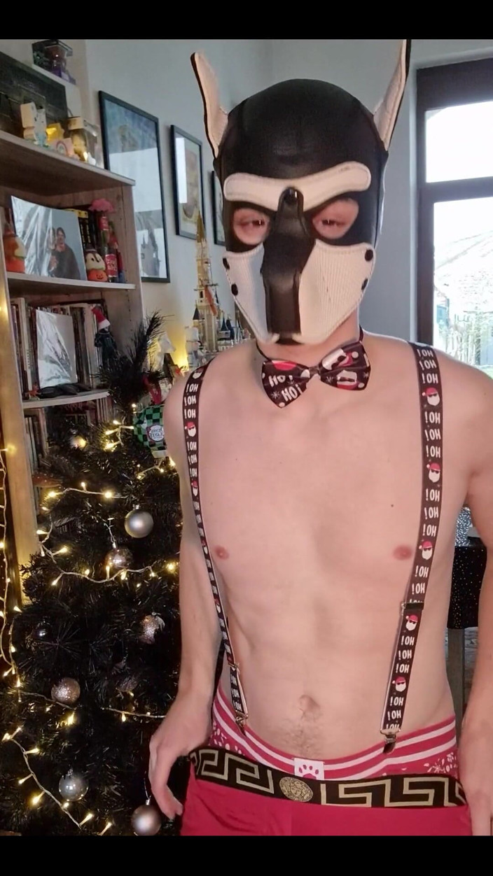 Snauwflake: Well I Forgot to Show You