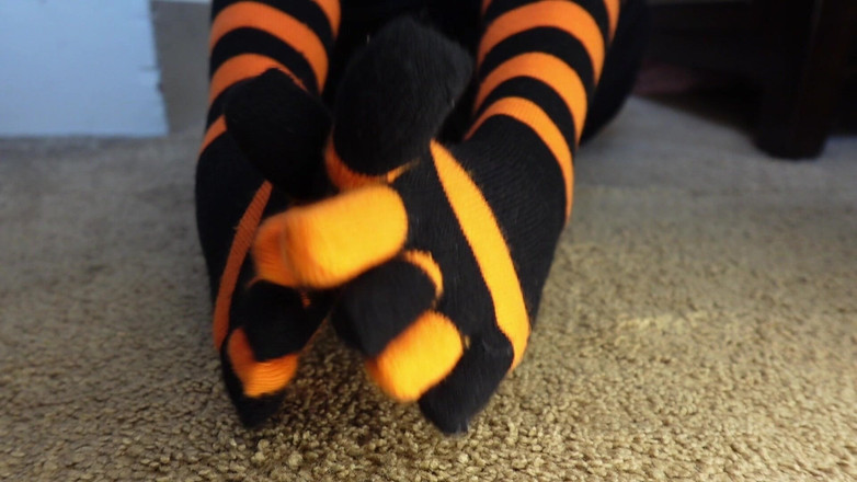 Raven Willow: Posedlá bez slova