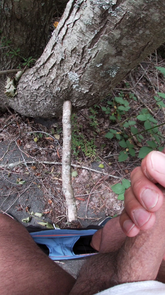 Hardnoisex: POV nei boschi: Da solo in mutande, che si scalda...