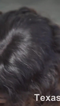 Coco'nun Seçmeleri