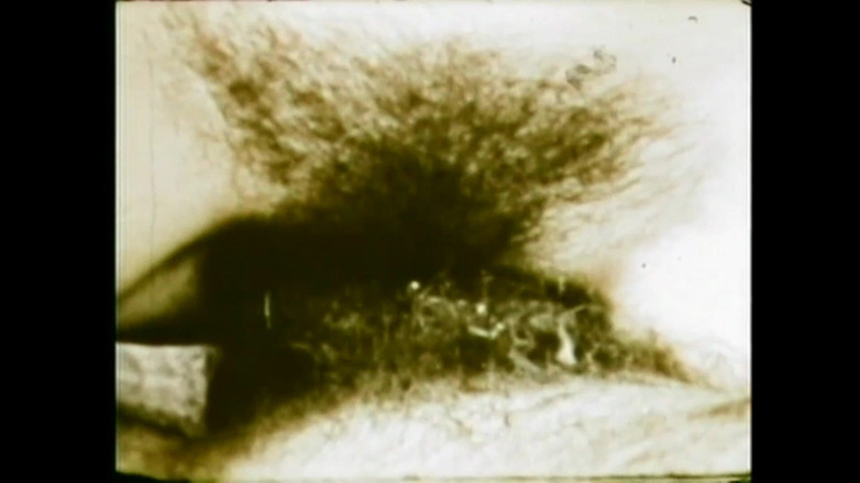 The Unforgettable: Zandy, milovník divočiny