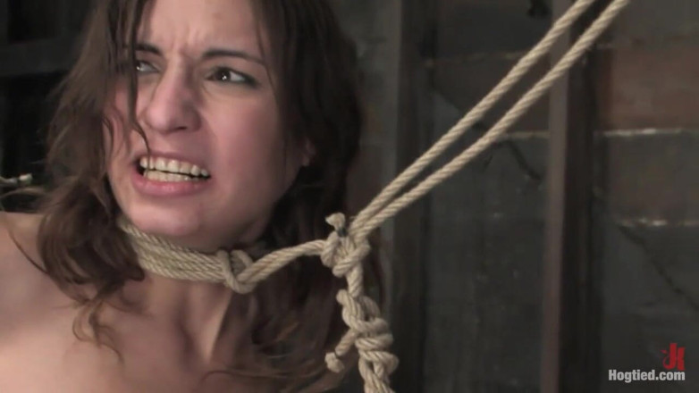 Hogtied by Kink: Hogtied - アンバーレイン
