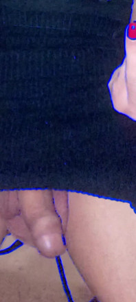 Polla grande trans