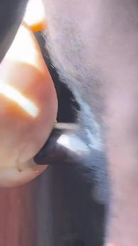 The Prisoner Cum Hard Needed to Help Cum More