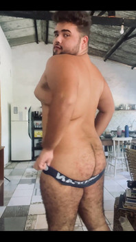 Solo Bear